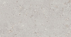 Риккарди серый светлый матовый обрезной 14053R 40x120_2