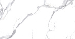 Calacatta Splendid Silver Керамогранит белый 60х120 Матовый_2