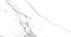 Calacatta Splendid Silver Керамогранит белый 60х60 Матовый_6