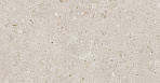 Риккарди бежевый матовый обрезной 14054R 40x120_3