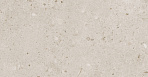 Риккарди бежевый матовый обрезной 14054R 40x120_1