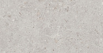 Риккарди серый светлый матовый обрезной 14053R 40x120_1