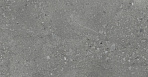 Nelson Керамогранит тёмно-серый K948160LPR01LPER 59,7х119,7 лаппатированный_5