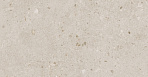 Риккарди бежевый матовый обрезной 14054R 40x120_2