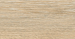 Oak Керамогранит янтарный OK 0054 15х60_11
