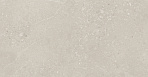 Nelson Керамогранит бежевый K948162LPR01LPER 59,7х119,7 лаппатированный_1
