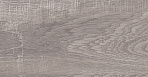 Rainwood керамогранит графитовый SG516700R 19,6х119,5_4