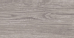 Rainwood керамогранит графитовый SG516700R 19,6х119,5_6