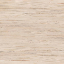 Ботаника глаз. керамогранит коричневый (15957/16093) 42x42