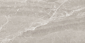 Nostalgic Silver Керамогранит 60х120 Полированный